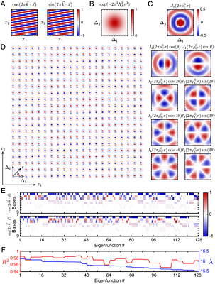 Synaptic Development of Fine Spatial Scale Organization of Neuronal Orientation Tuning in Mouse Primary Visual Cortex