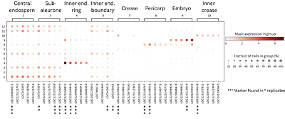 Spatial transcriptomics of developing wheat seed reveals radial expression patterns in endosperm and subgenome biased expression of key genes