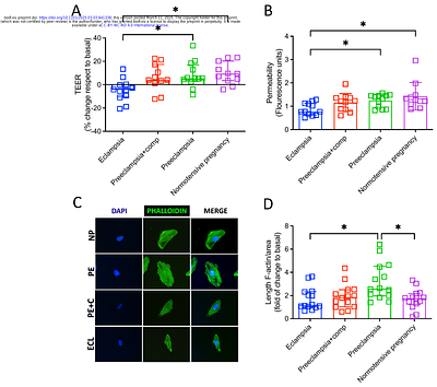 Plasma, not extracellular vesicles, disrupts the blood-brain barrier in eclampsia.