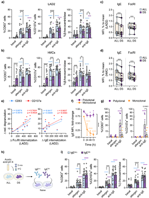 Mast cell desensitization induces a distinct IgE-dependent transcriptional program associated with immune regulation