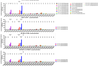 A treatment-resilient lipid metabolic program drives temozolomide resistance in glioblastoma