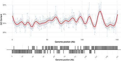 A high-quality telomere-to-telomere LSDV genome assembly