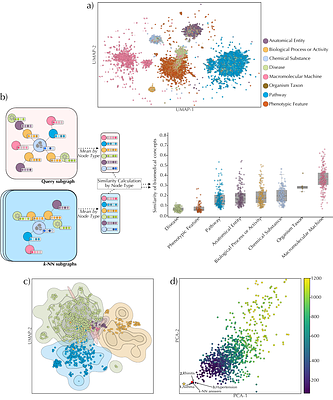 A Case-Based Explainable Graph Neural Network Framework for Mechanistic Drug Repositioning