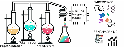 Beyond performance: How design choices shape chemical language models