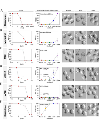OOCYTE AND EMBRYO CULTURE UNDER OIL PROFOUNDLY ALTERS EFFECTIVE CONCENTRATIONS OF SMALL MOLECULE INHIBITORS
