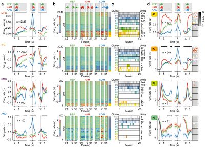 A right-hemispheric language network at single-neuron resolution