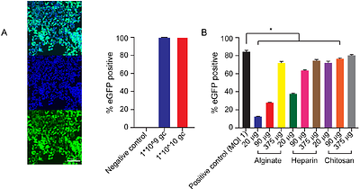Preprint: Triggered sequential viral-transduction from collagen-based scaffolds for tissue regeneration