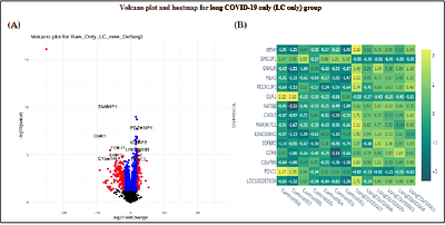 Distinct Transcriptomic Biomarkers and Pathways Associated with Cardiovascular and Neurovascular Dysregulation in Long COVID-19 Brain Fog