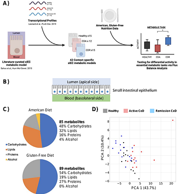 Investigating intestinal epithelium metabolic dysfunction in Celiac Disease using personalized genome scale models