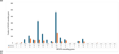 Refining the Serine Protease Autotransporters of Enterobacteriaceae (SPATE) gene detection in Enteroaggregative Escherichia coli genomes uncovers differential SPATE distribution by phylogeny