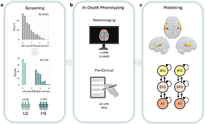Fronto-Temporal Dysconnectivity and Cortical Excitability in High Schizotypy: Associations with Symptom Dimensions