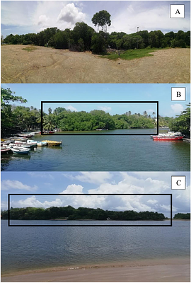 Isolation and Characterization of Salt Tolerant Soil Bacteria from Selected Locations in the West Coast of Sri Lanka.