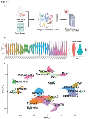 Single-Cell RNA Sequencing and Inferred Protein Activity Analysis Reveal a Distinct Tumor Phenotype in Early-Onset Colorectal Cancer Patients