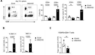 IL-2 enhances effector function but suppresses follicular localization of CD8+ T cells in chronic infection