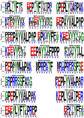 A Computational Workflow for Structure-Guided Design of Potent and Selective Kinase Peptide Substrates