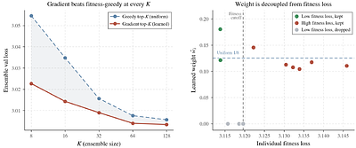 q0: Primitives for Hyper-Epoch Pretraining