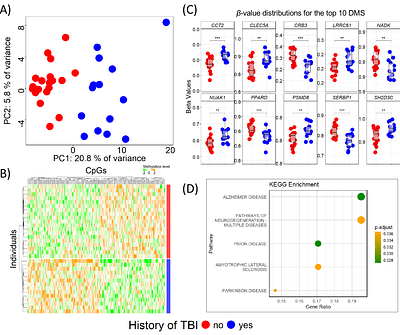 Can music modulate gene expression involved in traumatic brain injury? An integrative transcriptomic and epigenomic proof of concept