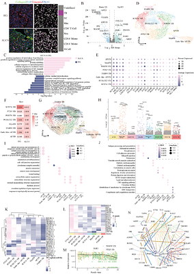 Deciphering the Pathogenic Landscape of Amyloid Light-Chain Cardiomyopathy