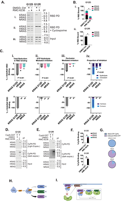 Overcoming Daraxonrasib Resistance: Allele-Specific Mechanisms Guide Salvage Therapy in Pancreatic Cancer