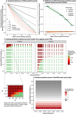 Hidden structure in polygenic scores and the challenge of disentangling ancestry interactions in admixed populations