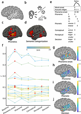 Low-dimensional neuronal population dynamics in anterior superior temporal gyrus reactivate phonetic representations during semantic processing