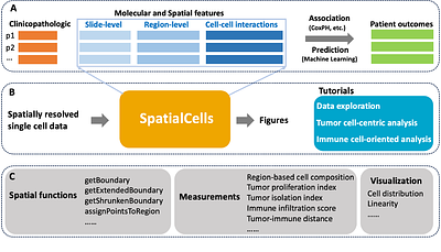 SpatialCells: Automated Profiling of Tumor Microenvironments with Spatially Resolved Multiplexed Single-Cell Data