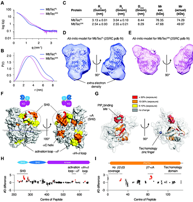 Mechanism of activation of an ancestral Tec kinase by PIP3