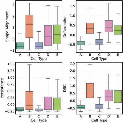 Cancer Phenotypic Plasticity Quantification using Morphology-Migration Coupled Metric in Live Label-Free Optical Microscopy