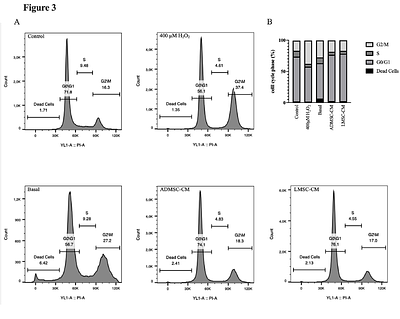 From Adipose to Limbus: Deciphering the Paracrine Effects of MSC Secretomes on Oxidative Stress-Induced RPE Dysfunction