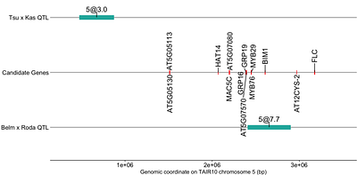 Shared QTLs underlie loss of a conserved trait in replicate mapping populations of Arabidopsis thaliana