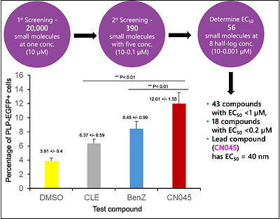 Structural Basis of M1 Muscarinic and H3 Histamine Receptor Inhibition in OPC Differentiation