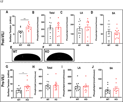 Annexin A2 Regulates Surfactant Dysfunction During Injurious Ventilation.