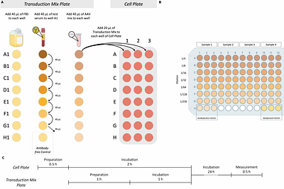 CoreTIA: a modular, statistically robust transduction inhibition assay for AAV neutralization