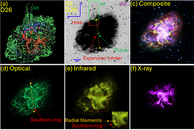 Identifying a circum-jet southern ring counterpart to the northern jet of the Crab Nebula