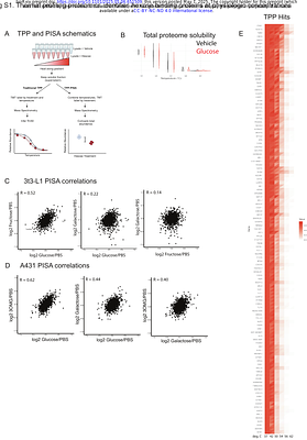 Thermal proteome profiling identifies glucose binding proteins involved in metabolic disease