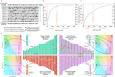 HPRC2: A human pangenome reference with near-complete coverage of common genetic variation
