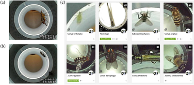 The FAIR-Device - a non-lethal and generalist semi-automatic Malaise trap for insect biodiversity monitoring: Proof of concept