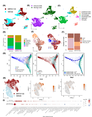 KRAS inhibition is an effective therapy for appendiceal adenocarcinoma