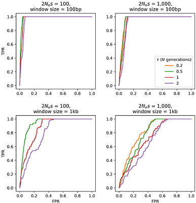 Investigating the effects of chimerism on the inference of selection: quantifying genomic targets of purifying, positive, and balancing selection in common marmosets (Callithrix jacchus)