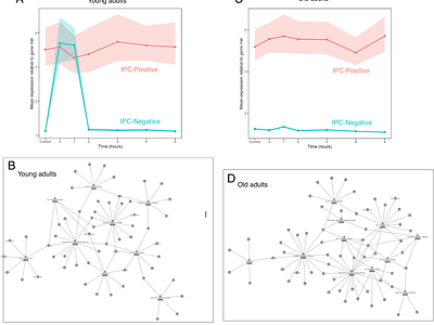 Insulin Signaling Functions as a Topological Switch That Couples Aging and Heat Stress Responsiveness