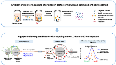 An Antibody Cocktail-Based Immunoaffinity-LC-MS Method Enabled Ultra-Sensitive and Robust Quantification of Circulating Proinsulin Proteoforms and C-peptide