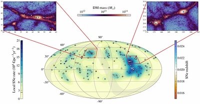 Illuminating the Local Universe: Large-Scale Structure from ZTF Type Ia Supernovae
