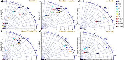 Mechanistic crop modelling and AI for ideotype optimization: Crop-scale advances to enhance yield and water use efficiency
