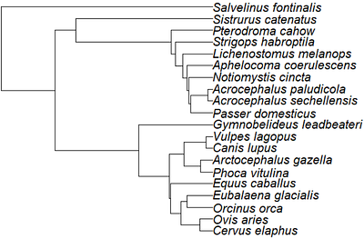 Genomic quantification of inbreeding depression in wild vertebrate populations