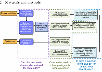 Ultraconserved elements coupled with machine learning approaches resolve the systematics in model nematode species