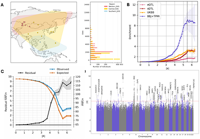 Convergent natural selection at both ends of Eurasia during parallel radical lifestyle shifts in the last ten millennia