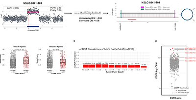 Examining the Role of Extrachromosomal DNA in 1,216 Lung Cancers