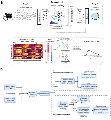 HeteroRC: Decoding latent information from dynamic neural responses with interpretable heterogeneous reservoir computing
