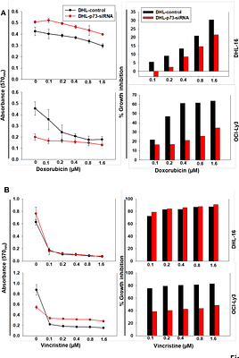 Isoform-Specific Functions of p73 Drive Survival and Chemoresistance in Diffuse Large B-Cell Lymphoma