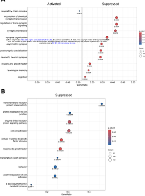 Housing environment bilaterally alters transcriptomic profile in the rat hippocampal CA1 region